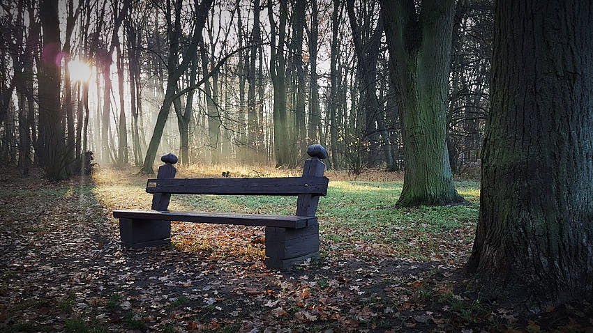 20181114_082103.jpg - Ranné prebúdzanie