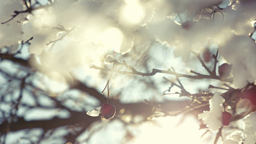 20210214_233727.jpg - Šípky i.