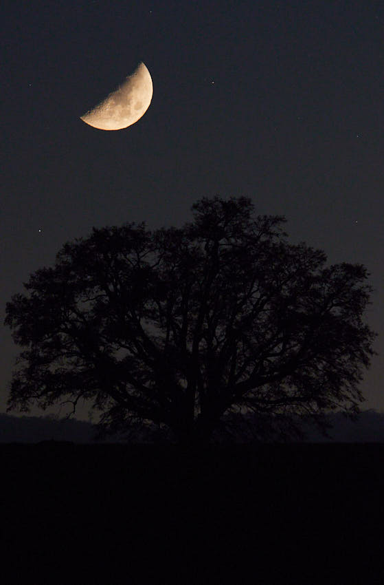 IMG_3543.jpg - Súputník ii.