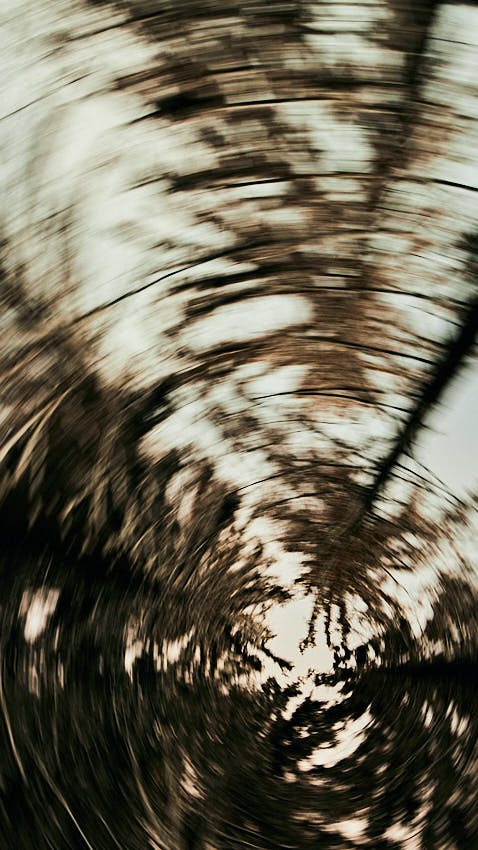 IMG_3914BN.jpg - Točí sa mi hlava