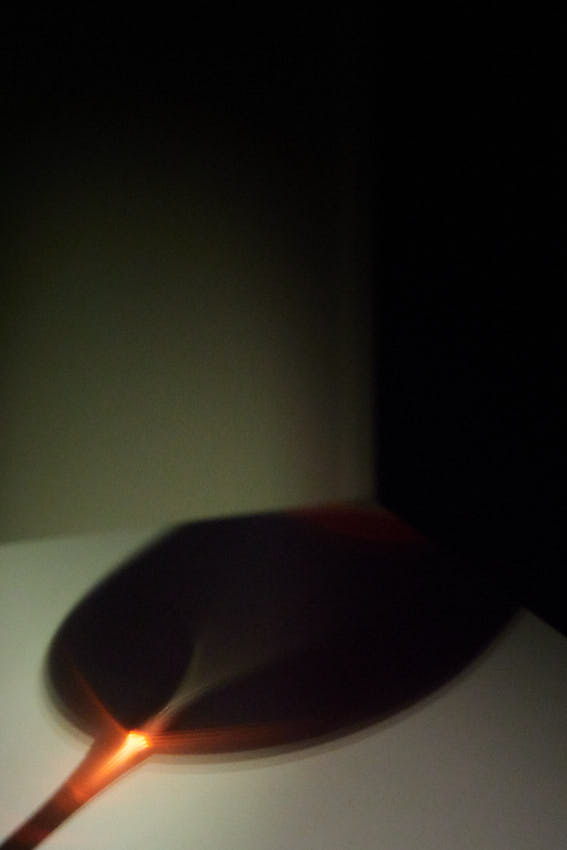 IMG_4039.jpg - Na zdravie s Drtikolom ii.