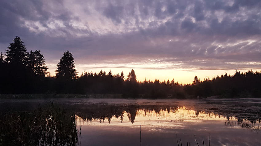 20200711_212527.jpg - CZ CA i.