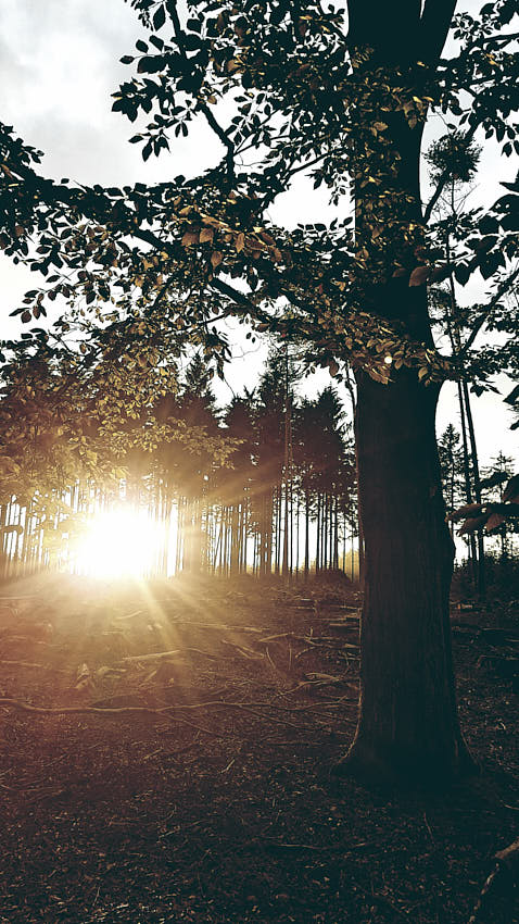 20200712_001019.jpg - CZ CA v.