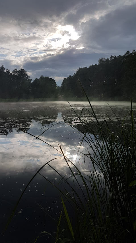 20200717_185800.jpg - CZ CA iv.