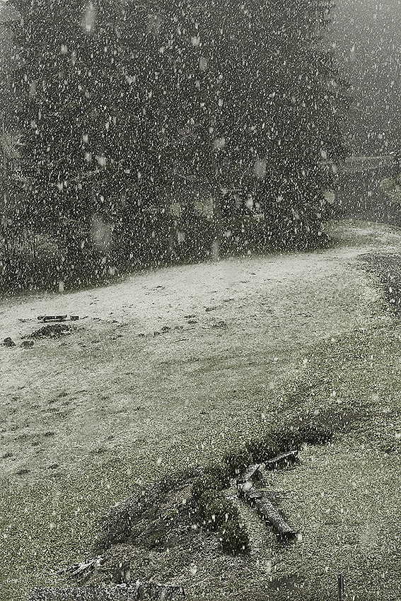 IMG_5555.jpg - Celodenné sneženie i.