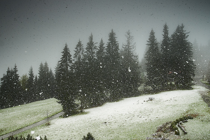 IMG_5566.jpg - Celodenné sneženie ii.