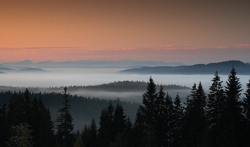 IMG_5655.jpg - Ranná scenéria druhé ráno po snežení i.