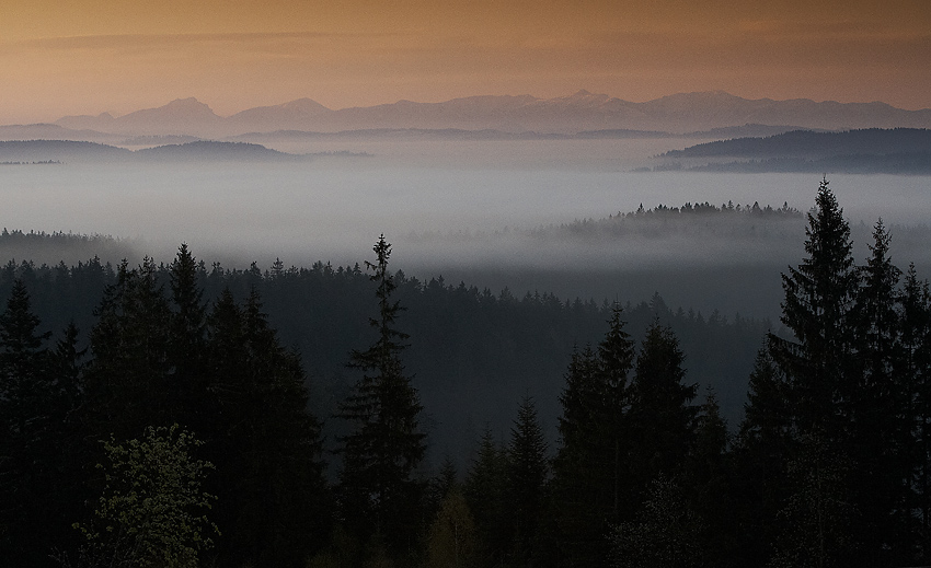 IMG_5663.jpg - Ranná scenéria druhé ráno po snežení ii. V pozadí Malá Fatra - M. Rozsutec, V. Rozsutec, Stoh, ... Kriváň