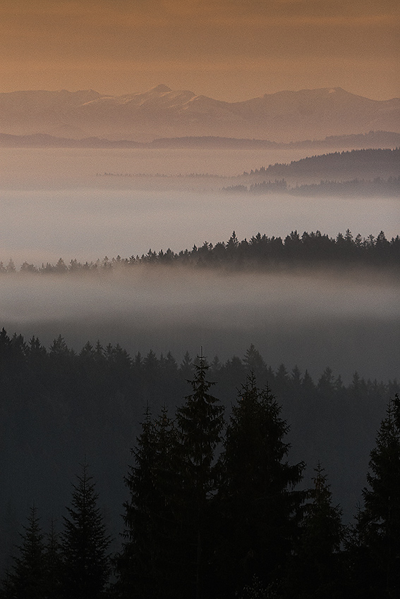 IMG_5673.jpg - Ranná scenéria s Kriváňom.
