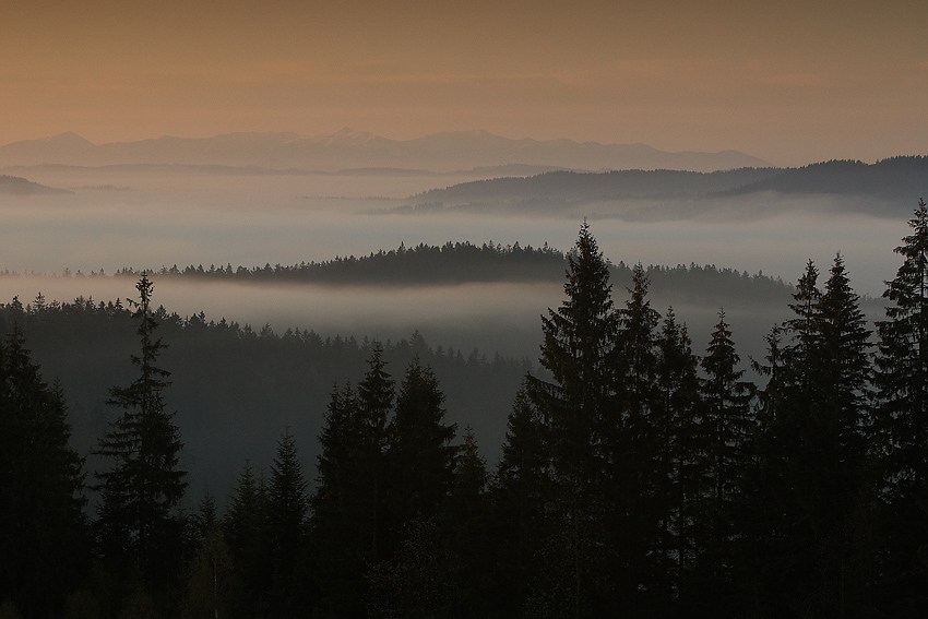 IMG_5676.jpg - Ranná scenéria druhé ráno po snežení iii.