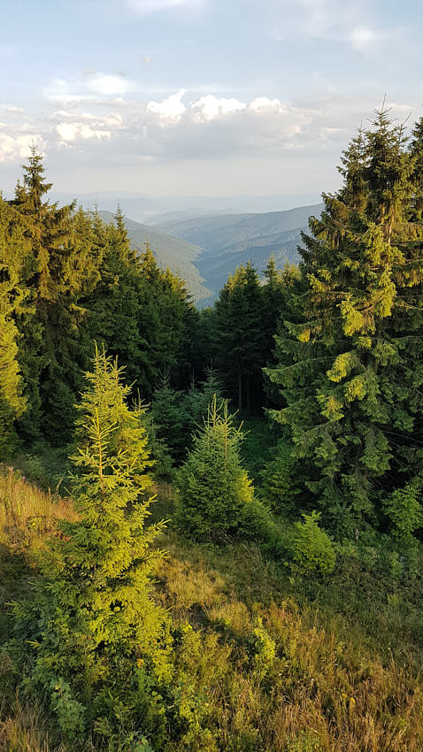 20180716_190817.jpg - Pohľad zo Stratenca do Kysúc ii.