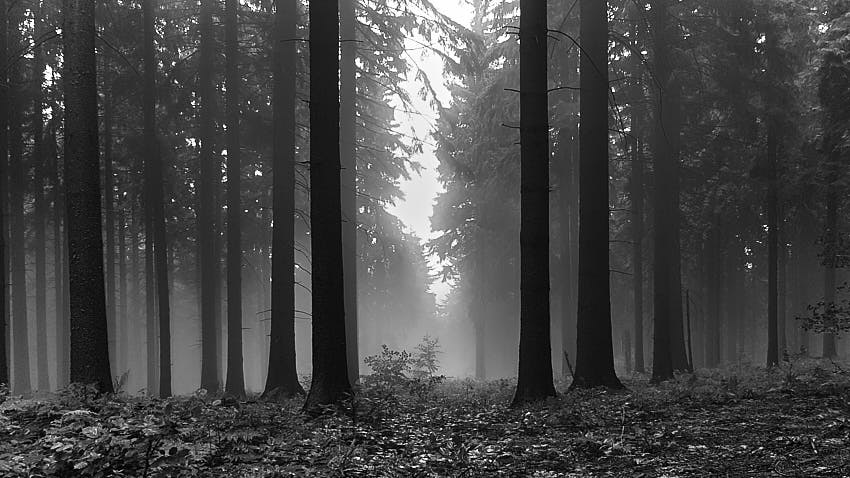 20180717_132919BW.jpg - Po daždi