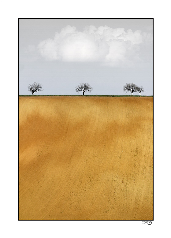 CRW_9503AM.jpg - ...