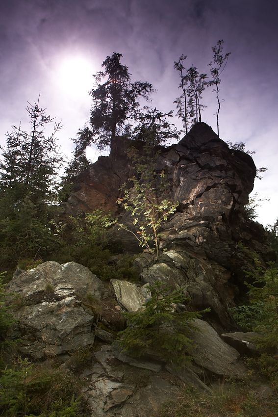 IMG_1234.jpg - Krajina Hobitov