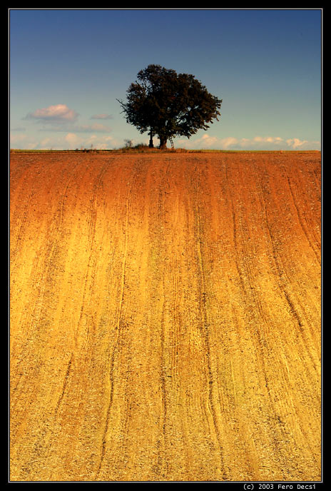 IMG_4171M.jpg - Lipka