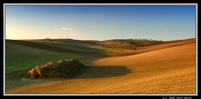 IMG_4279CroppedM.jpg - ...