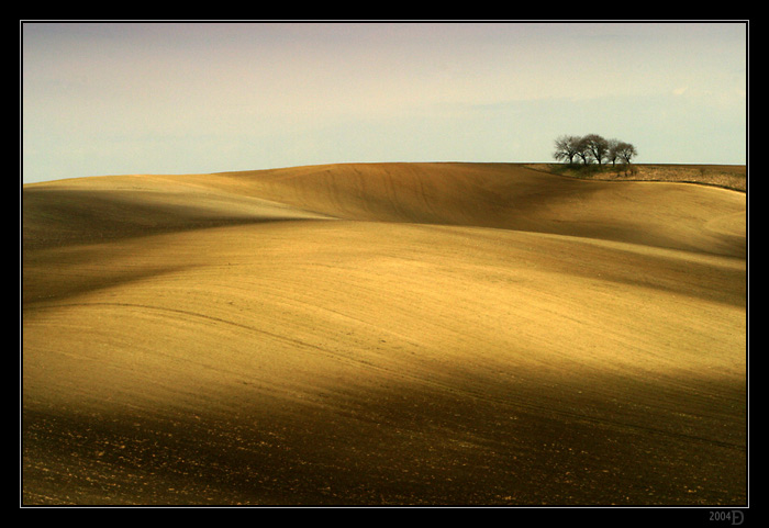IMG_4815M.jpg - Pole kúzelník i.