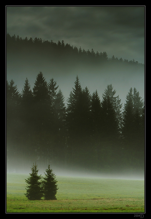 IMG_5420M.jpg - Do lesa pôjdeme spolu