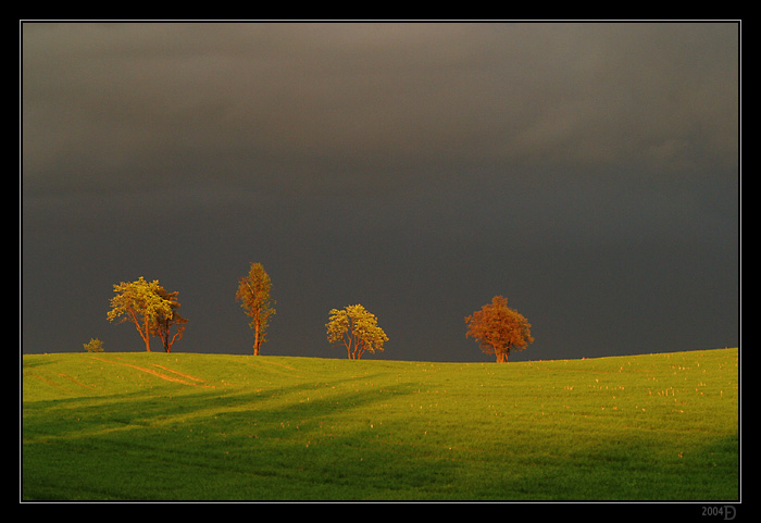 IMG_5429M.jpg - Cestou...