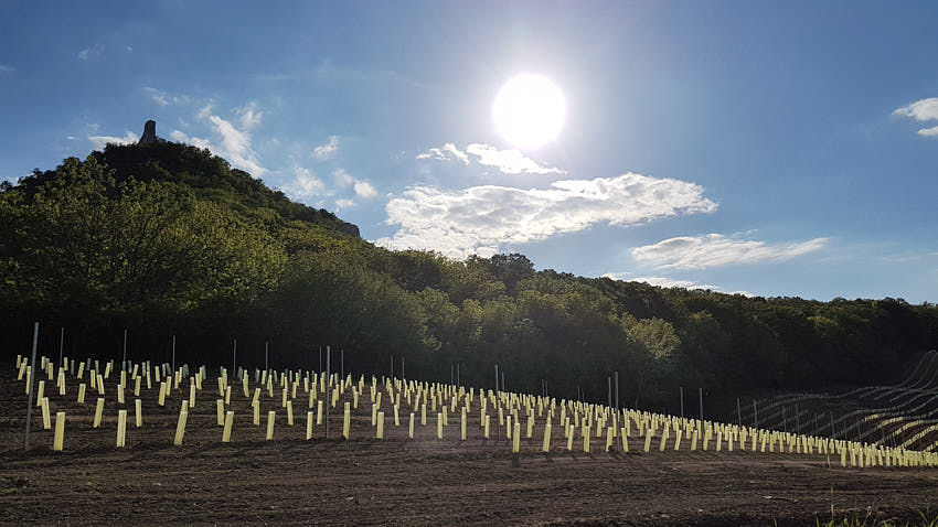 20190510_173742.jpg - Zamyslenie sa nad tým, ...