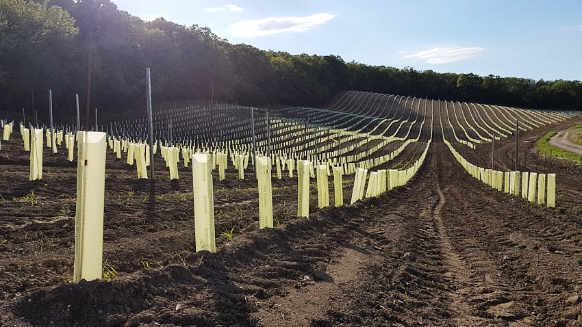 20190510_174042.jpg - ... ako s ňou žije, ...