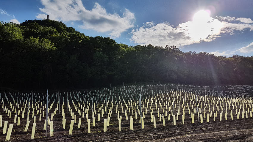 20190510_174234.jpg - ... a dotvára jej vzhľad.