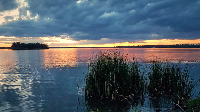 20190510_204818.jpg - ...