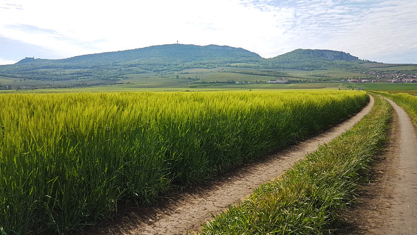 20190511_100742.jpg - ...