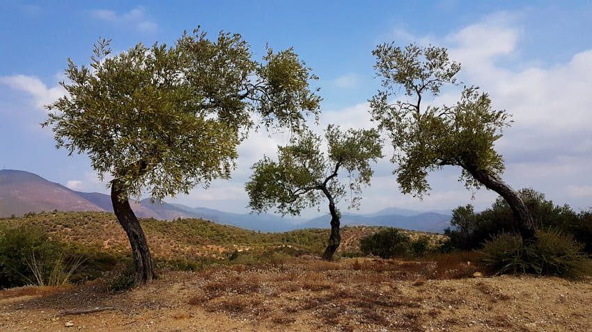 20190919_132721.jpg - "Svätá trojica"