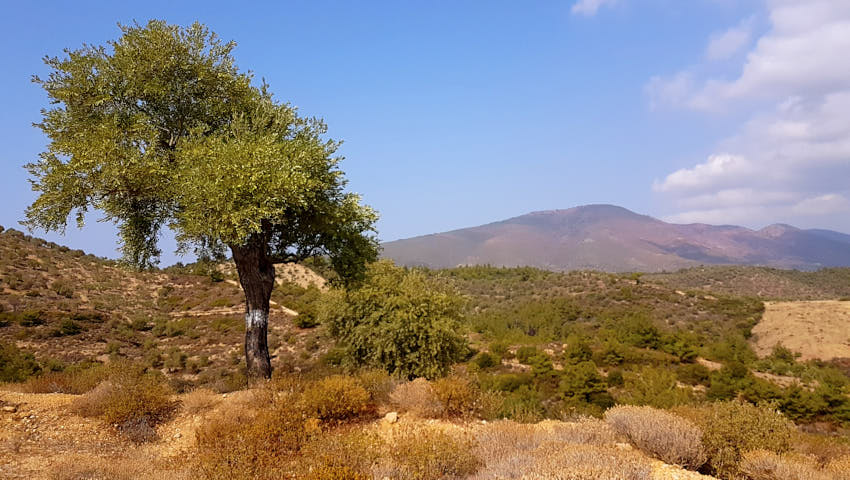 20190919_145243.jpg - Kóta 800m volá...