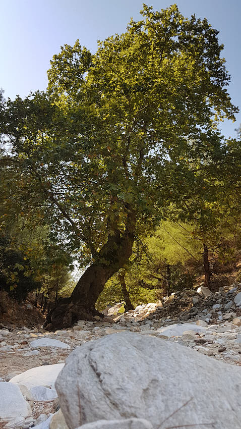 20190921_135058.jpg - Čakanie na veľkú vodu