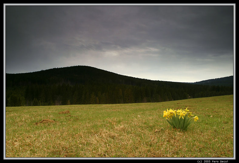 IMG_2709XL.jpg - Pamiatky zaniknutých osád