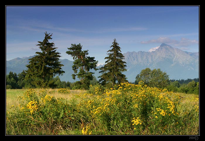 IMG_6359M.jpg - Kriváň... a ešte jeden
