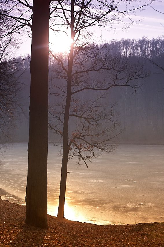 IMG_8280.jpg - Lesný rybník