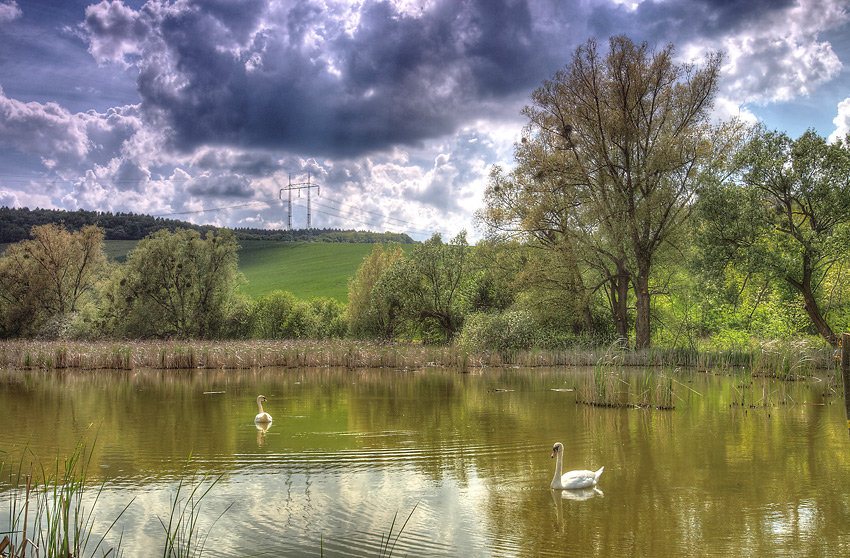 IMG_9665abc.jpg - Horný rybník