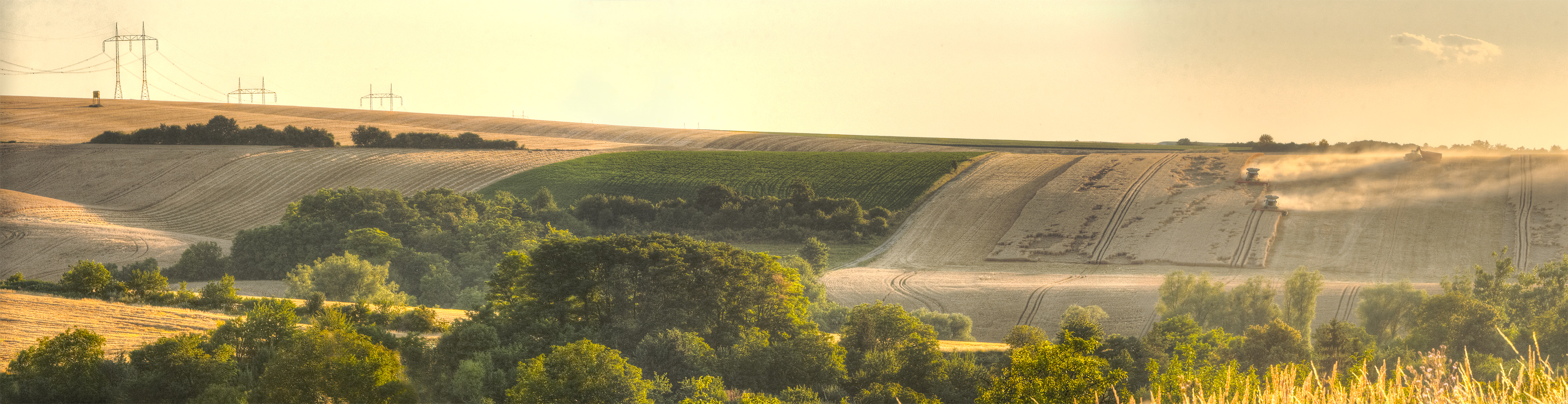 LetnyMotiv.jpg - Letný motív