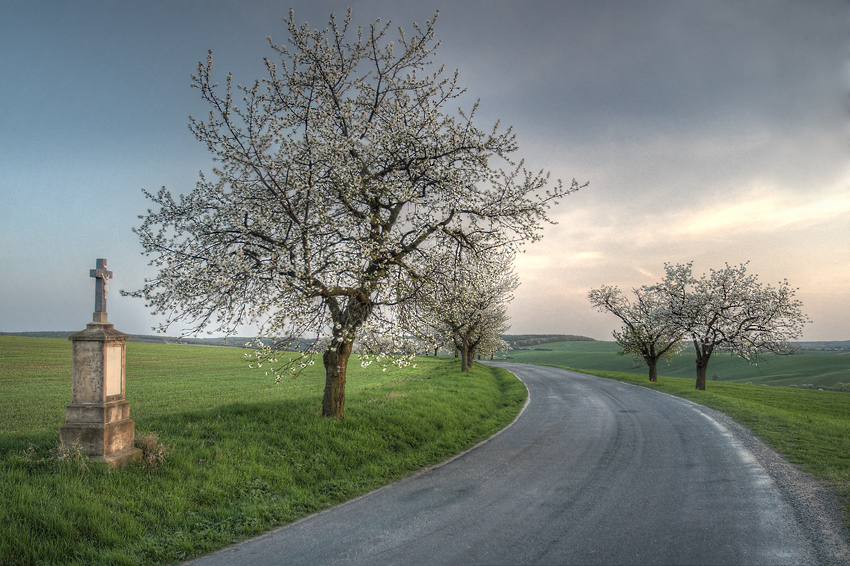 UZadnocha.jpg - "U Zadňocha"