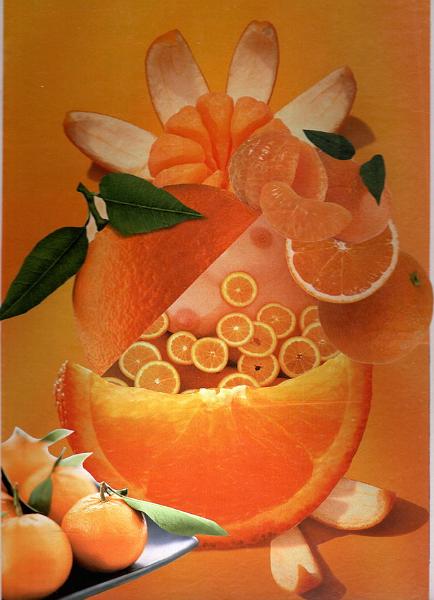 B03.Oranzova.jpg - Oranžová