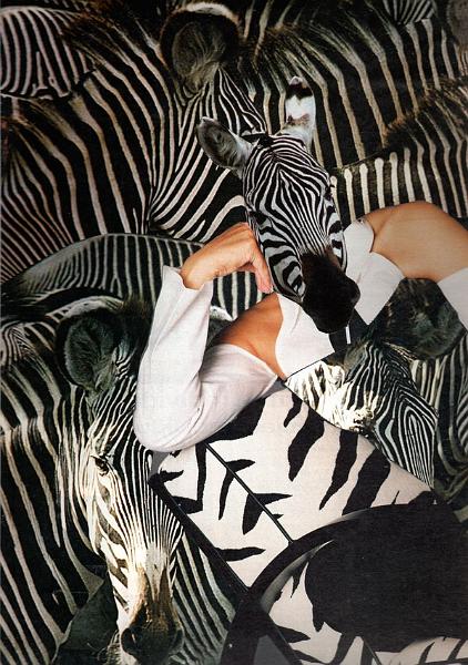 B04.CernobilaKompozice.jpg - Černobílá kompozice